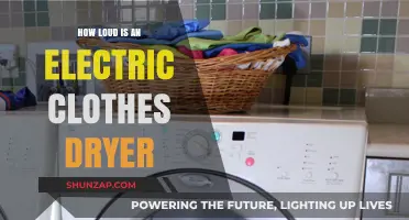 Electric Dryers: Noisy or Quiet?