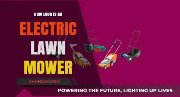 Electric Lawn Mower Noise: How Loud is Too Loud?