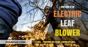 Electric Leaf Blowers: Noisy, but Quieter than Gasoline Models