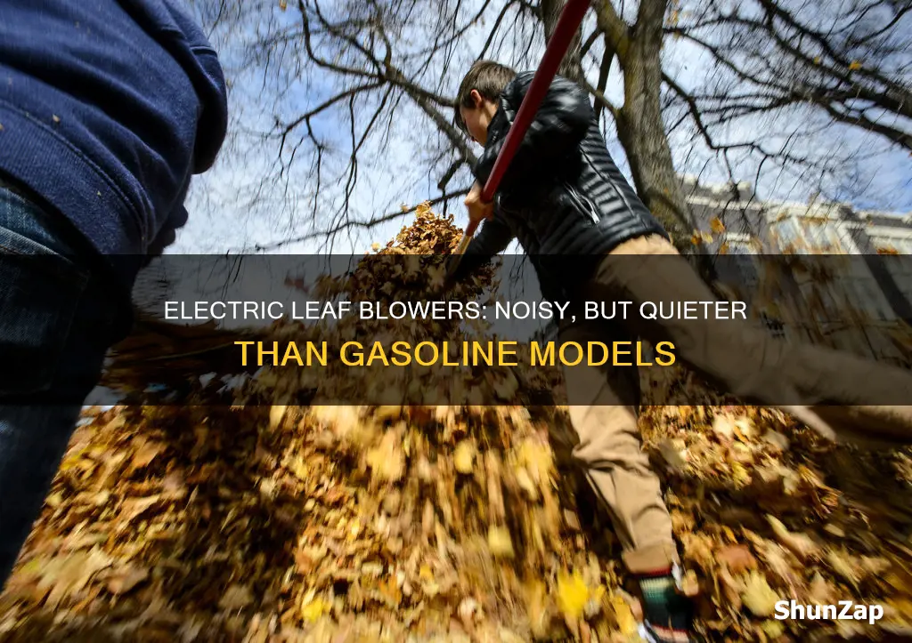 how loud is an electric leaf blower