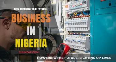 Lucrative Electrical Business in Nigeria: A Profitable Venture?