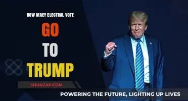 Trump's Electoral College Votes: How Many Did He Secure?