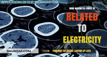 Magnetic Force and Electricity: Intriguing Interplay