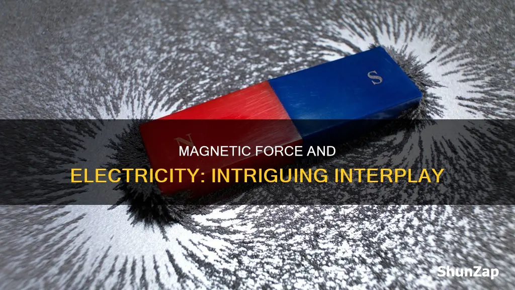 how magnetic force is related to electricity