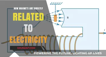 Magnets and Electricity: An Intrinsic Relationship