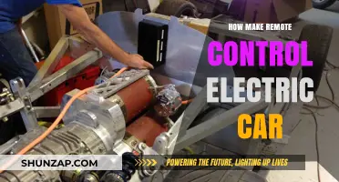 Build Your Own Remote-Controlled Electric Car: A DIY Guide