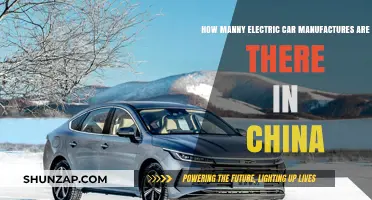 Exploring China's Growing Electric Car Manufacturers: A Comprehensive Overview