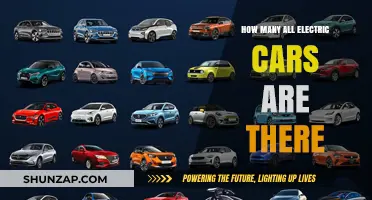 Exploring the Growing Number of All-Electric Cars on the Road
