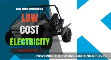 Low-Cost Electricity: Who Benefits in America?