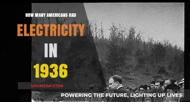 Electricity Access in 1930s America: Who Had It?
