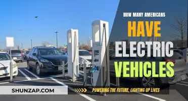 The Growing Electric Vehicle Market: A Snapshot of American Adoptions