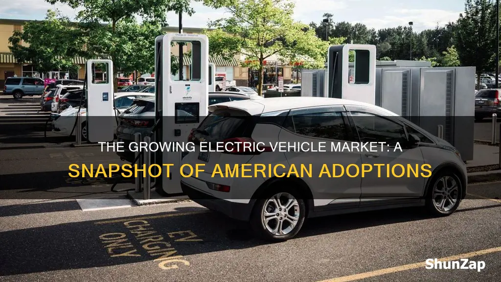 how many americans have electric vehicles