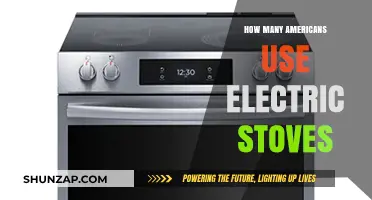Electric Stoves in America: Usage Trends and Adoption Rates