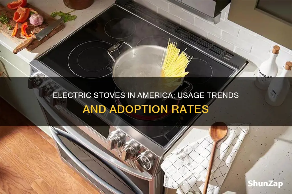 how many americans use electric stoves