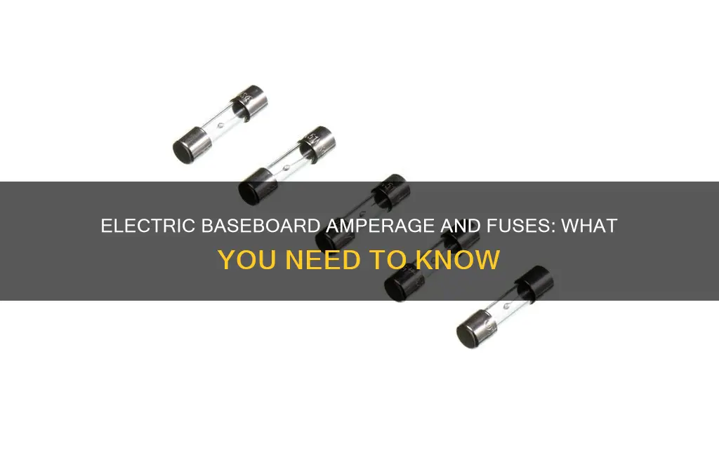 how many amps does electric baseboard fuse