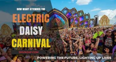 Exploring the Electric Daisy Carnival's Massive Attendance