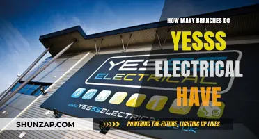 Electrical Giant Yesss: Branching Out Across the Nation