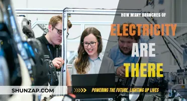 Electricity's Intriguing Branches: Unlocking the Power of Knowledge