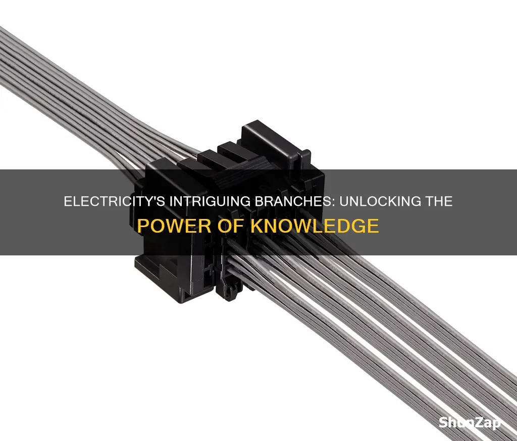 how many branches of electricity are there