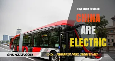 Electric Buses: China's Green Transport Revolution