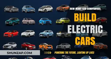 Exploring the Growing List of Car Manufacturers Building Electric Vehicles