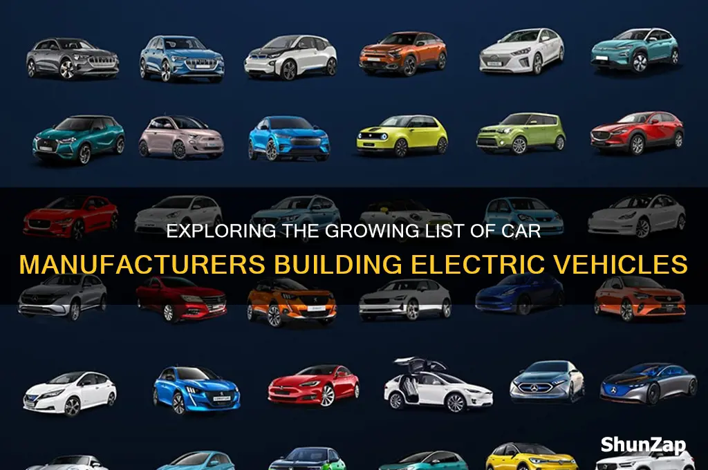 how many car companyies build electric cars