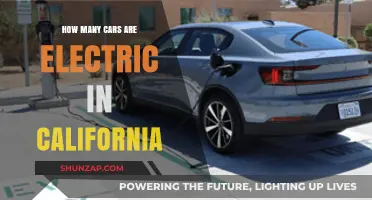 California's Electric Vehicle Revolution: Counting the State's EV Adoption