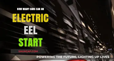 Can Electric Eels Power Your Car? Shocking Facts Revealed