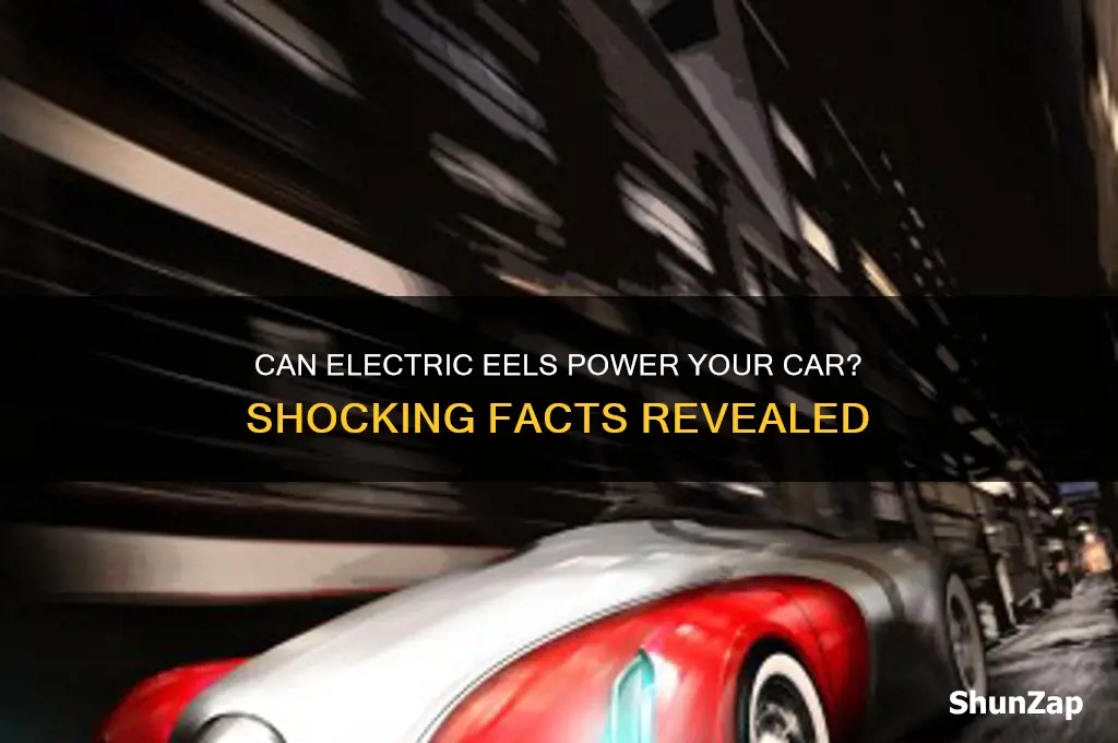 how many cars can an electric eel start