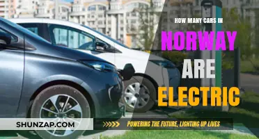 Norway's Electric Revolution: How Many Cars Are Now Emission-Free?