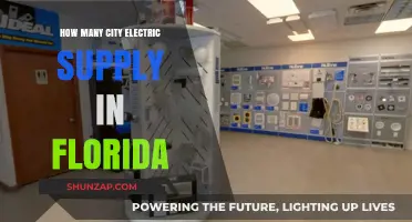 Electric Supply Stores: Florida's Top City Choices