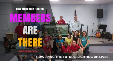Members of Clay Electric: A Thriving Community