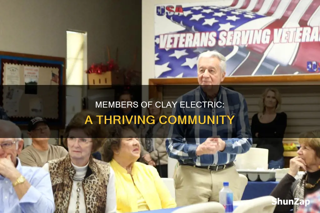 how many clay electric members are there