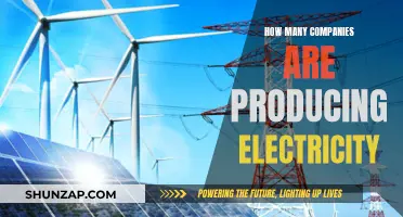 Electricity Production: How Many Companies Are Involved?
