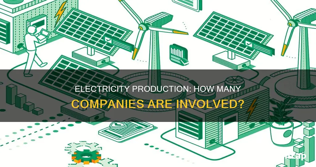 how many companies are producing electricity