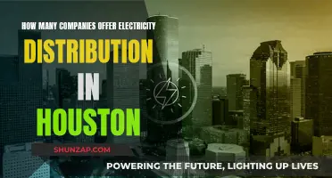 Electricity Distribution in Houston: A Competitive Market