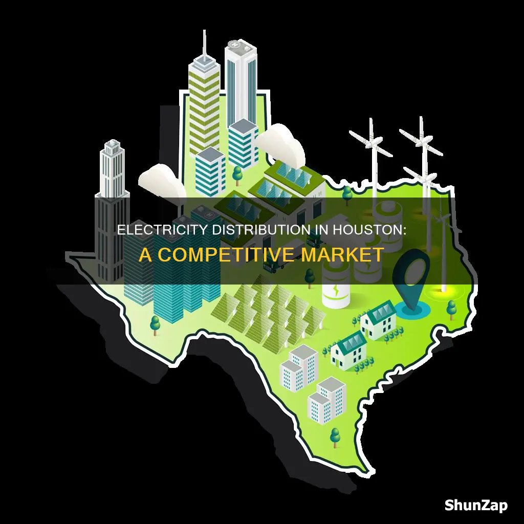 how many companies offer electricity distribution in houston
