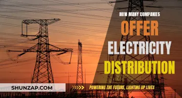 Electricity Distribution: Which Companies are Leading the Way?