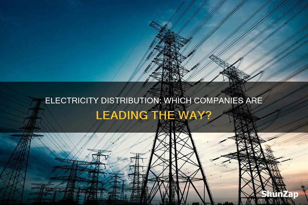 how many companies offer electricity distribution