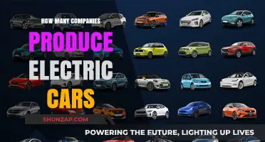 Exploring the Growing Number of Companies Producing Electric Vehicles Today