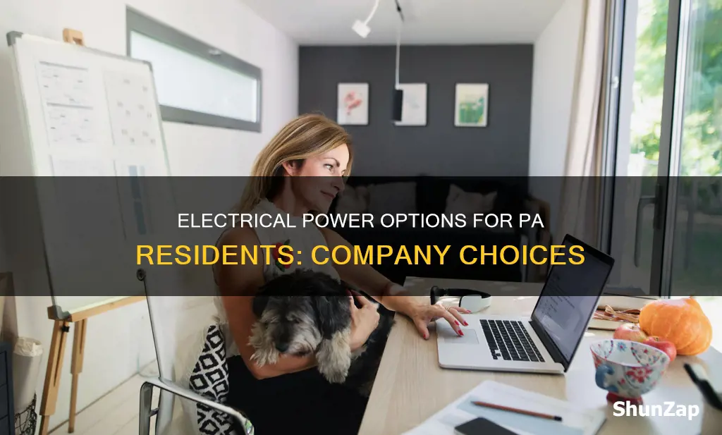 how many companies provide electrical to pa residents