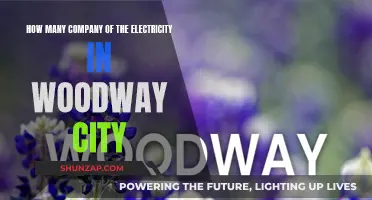 Electricity Companies in Woodway: A Comprehensive Overview