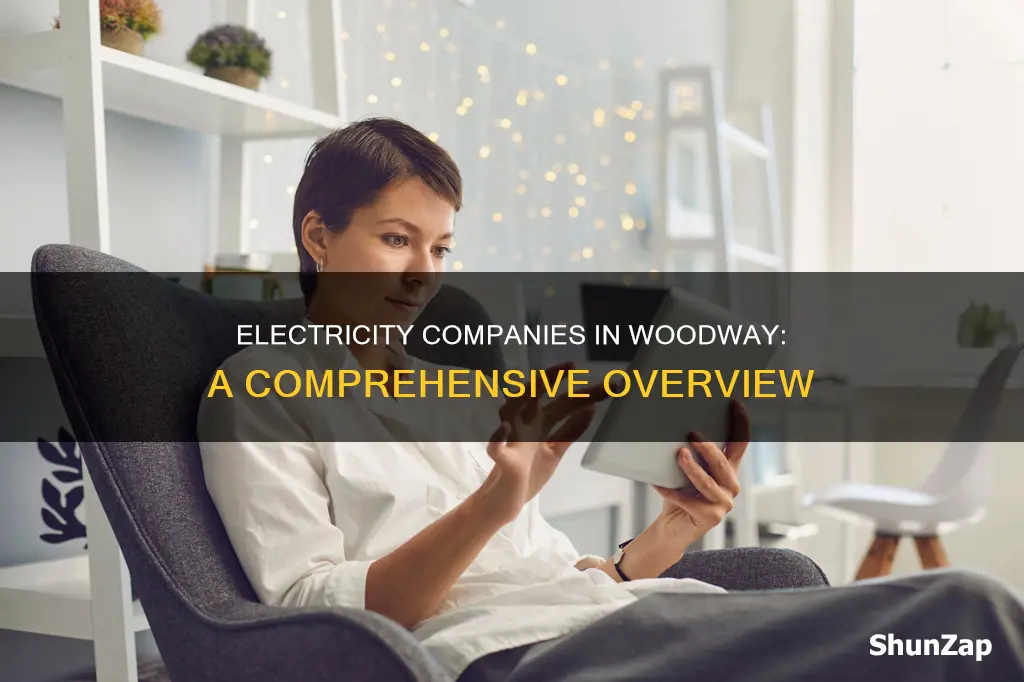 how many company of the electricity in woodway city