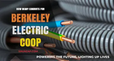 Electric Conduits: Berkeley Coop's Essential Guide