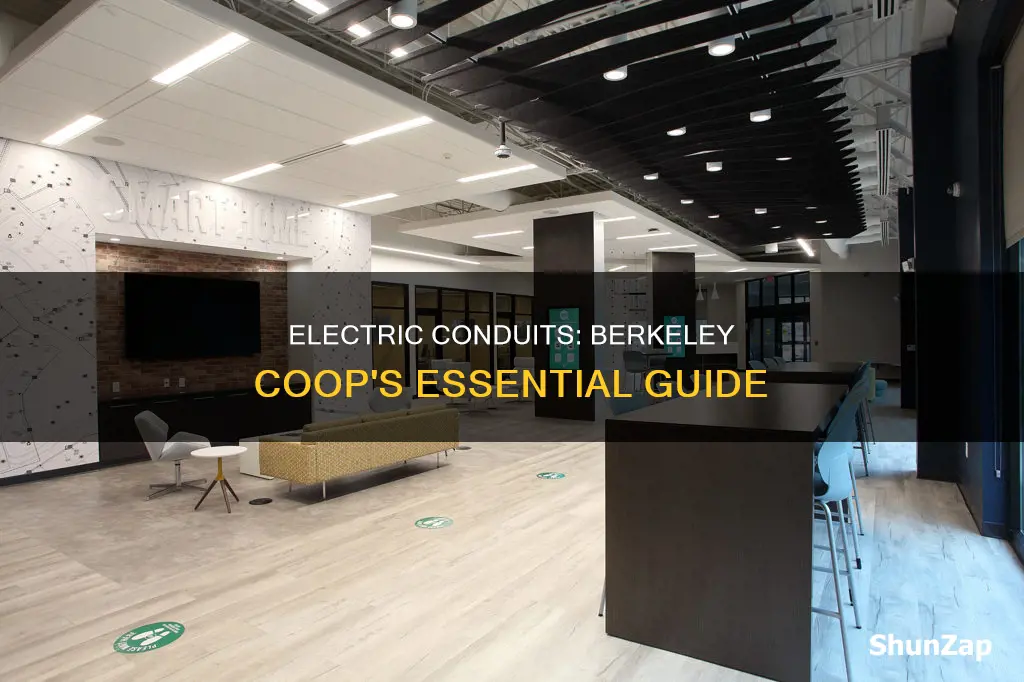 how many conduits for berkeley electric coop