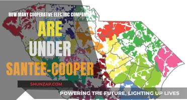 Electric Cooperatives: Santee-Cooper's Wide Reach