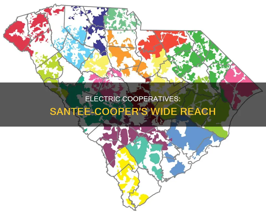 how many cooperative electric companies are under santee-cooper