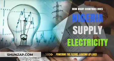 Electricity Exports: Nigeria's Power Reach