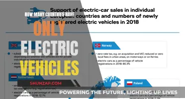 The Global Shift to Electric: Countries Leading the Charge