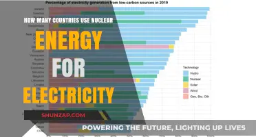 Global Nuclear Power: How Many Countries Rely on Atomic Energy?